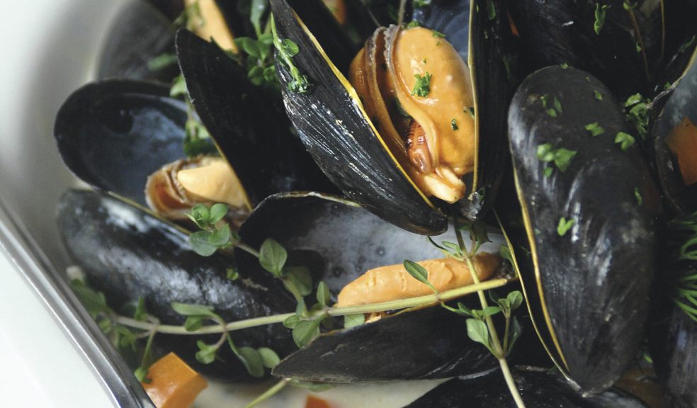 Devon Restaurant Month in full spring | The Exeter Daily